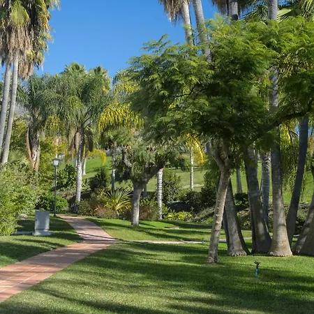 Palmas 15c Oasis Nerja