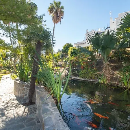 Palmas 15c Oasis * נרחה