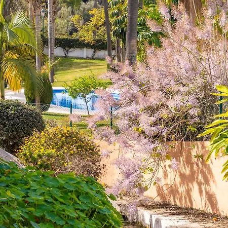 Palmas 15c Oasis דירה נרחה