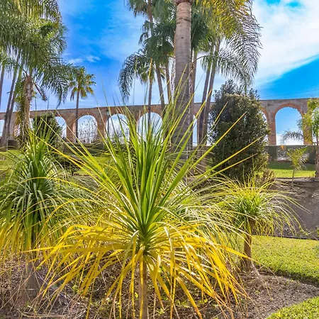 Palmas 15c Oasis * נרחה