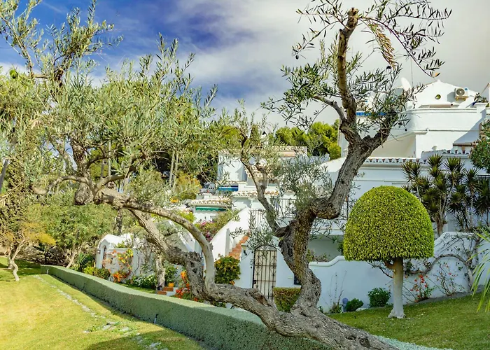 Palmas 15c Oasis نيرخا